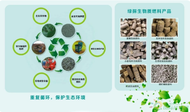 新能源知识 | 并不起眼的生物质能，将成为未来的发展方向？